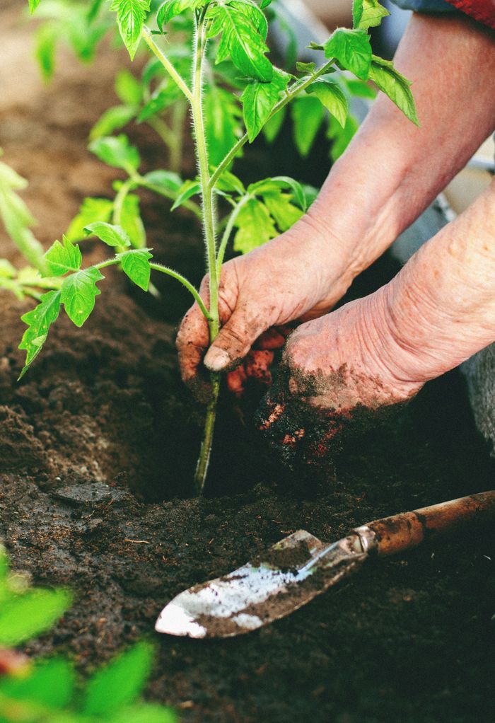 Lavori di giardinaggio a Siracusa